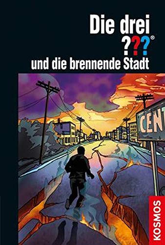 Die drei ??? und die brennende Stadt book cover