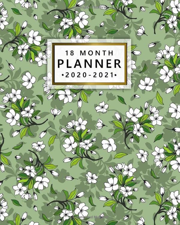18-month-planner-2020-2021-weekly-organizer-calendar-with-monthly