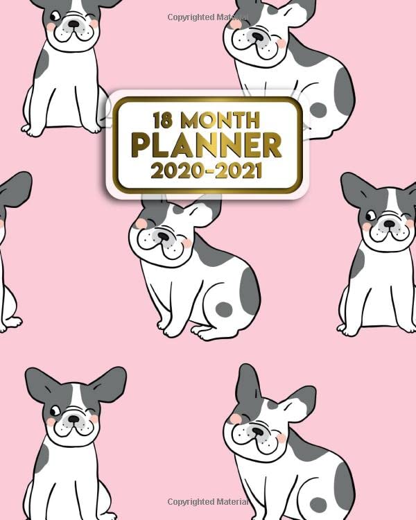 18-month-planner-2020-2021-weekly-organizer-calendar-with-monthly