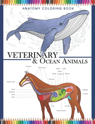 Veterinary & Ocean Animals Anatomy Coloring Book: 2-in-1 Magnificent ...