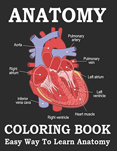 HUMAN ANATOMY AND PHYSIOLOGY 1 COLORING BOOK visual data 5