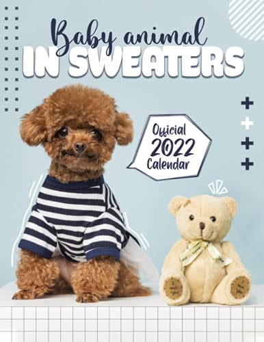 Baby Animals in Sweaters calendar 2022: 2022-2023 calendar animals
