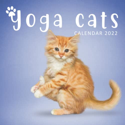 YOGA CATS CALENDAR 2022 Funny Cat October 2021 December 2022