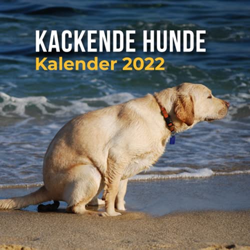 Kackende Hunde Kalender 2022: Lustige Geschenke für Frauen & Männer