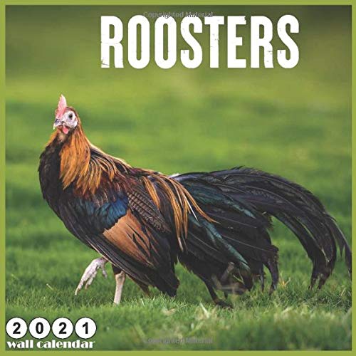 Roosters 2021 Wall Calendar 18 Months Wall Calendar 2021, Official