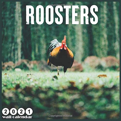 Roosters 2021 Calendar 18 Months Wall Calendar 2021, Official Roosters