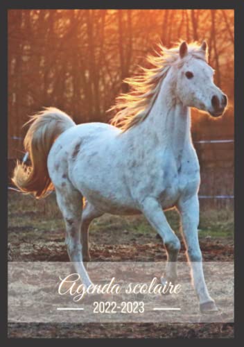 Agenda Scolaire Cheval Blanc Format A5 Agenda Journalier Quotidien En