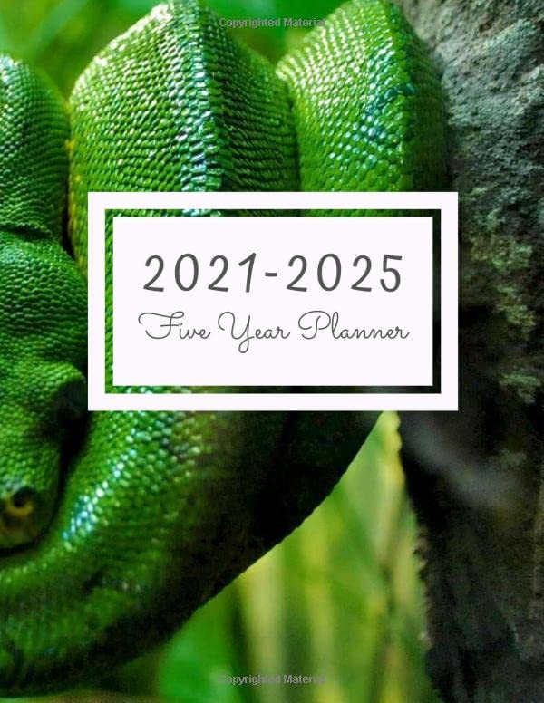 2021 2025 five year planner 60 months calendar and organizer monthly