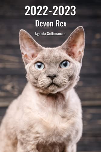 Busy B - Perfect Planner Agenda Accademica Metà Anno Agosto 2023 - Foto 5