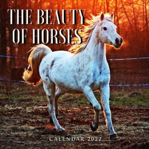 the beauty of horse: calendar 2022 1 year of beautiful horse pictures