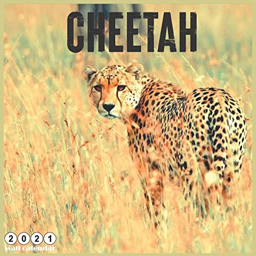 Cheetah 2021 Wall Calendar Official Big Cats Calendar 2021, 18 Months by 365 Days Calendars