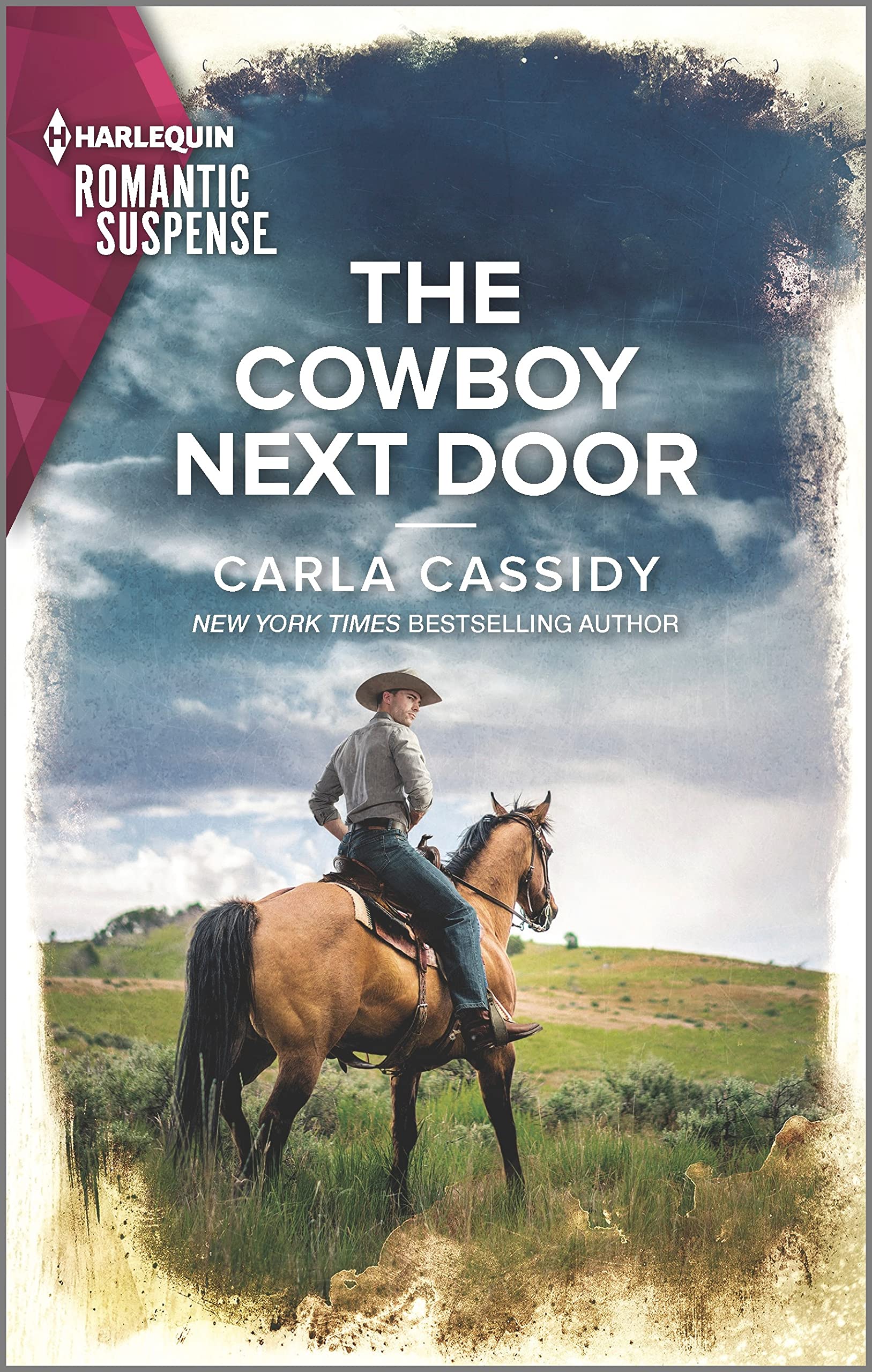The Cowboy Next Door book cover