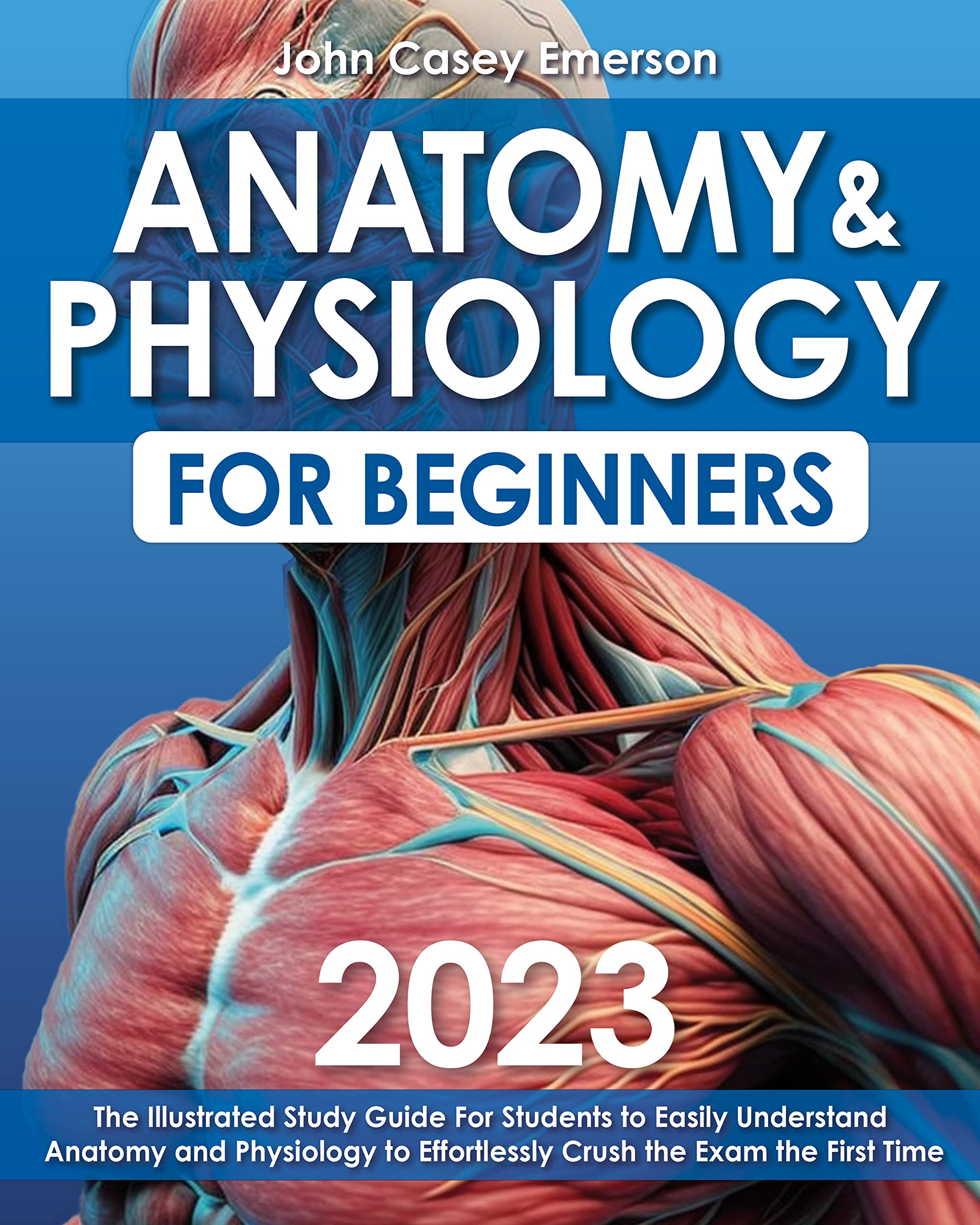 Anatomy & Physiology for Beginners 2023 The Illustrated Study Guide