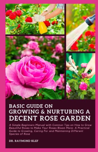 BASIC GUIDE ON GROWING & NURTURING A DECENT ROSE GARDEN: A Simple ...