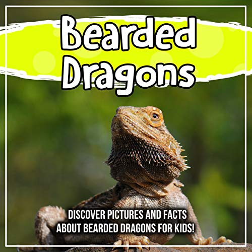 Bearded Dragons: Discover Pictures and Facts About Bearded Dragons For ...