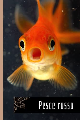 Tazza Per Acquario Con Scritta 'Aquariano' – Idea Regalo Per Amanti Dei Pesci, Ceramica Di Qualità Stampata Su Entrambi I Lati, Lavabile In Lavastoviglie (Bianca, 330 Ml)