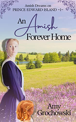 An Amish Forever Home