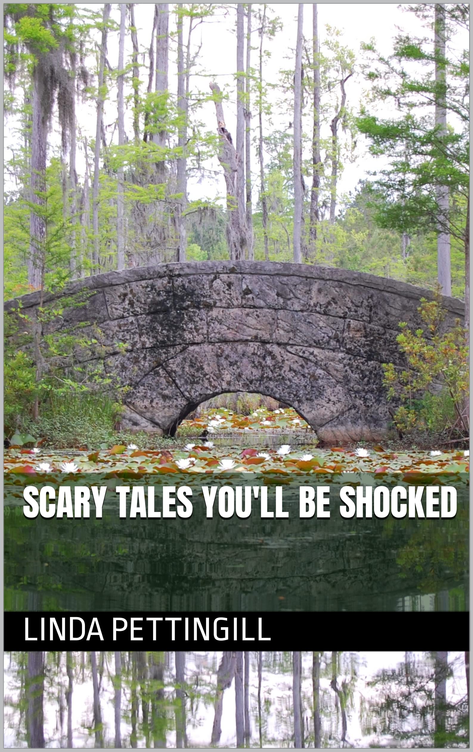 Scary Tales You ll Be Shocked By Linda Pettingill Goodreads scary-tales-you-ll-be-shocked-by-linda-pettingill-goodreads