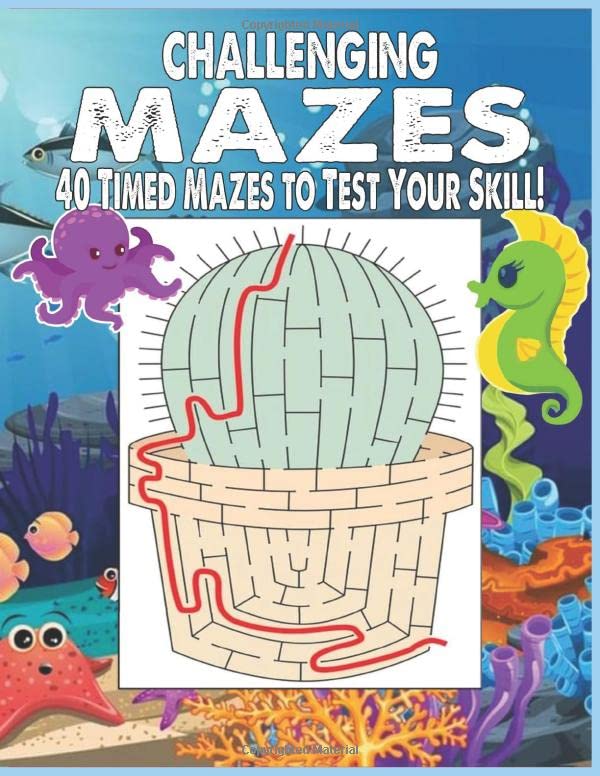 Challenging Mazes 40 Timed Mazes to Test Your Skill! The Maze Activity