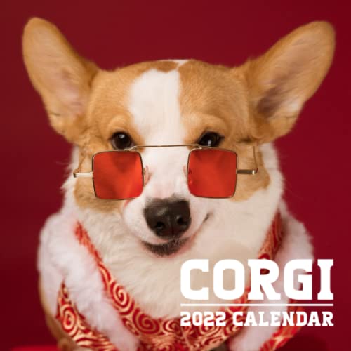 Corgi 2022 Calendar: Cute Dog January 2022 - December 2022 OFFICIAL ...