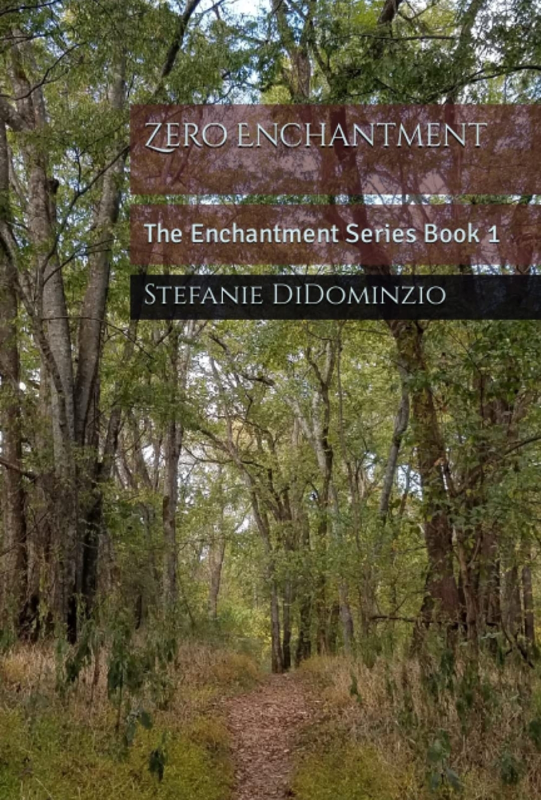 Zero Enchantment: The Enchantment Series Book 1