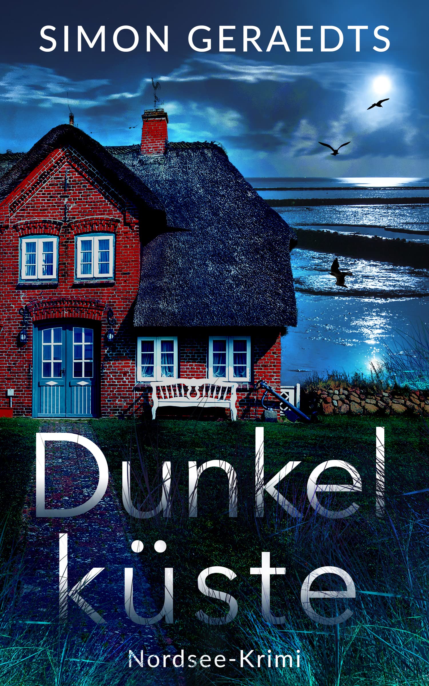 Dunkelküste: Nordsee-Krimi (Sophie Jensen ermittelt 5)