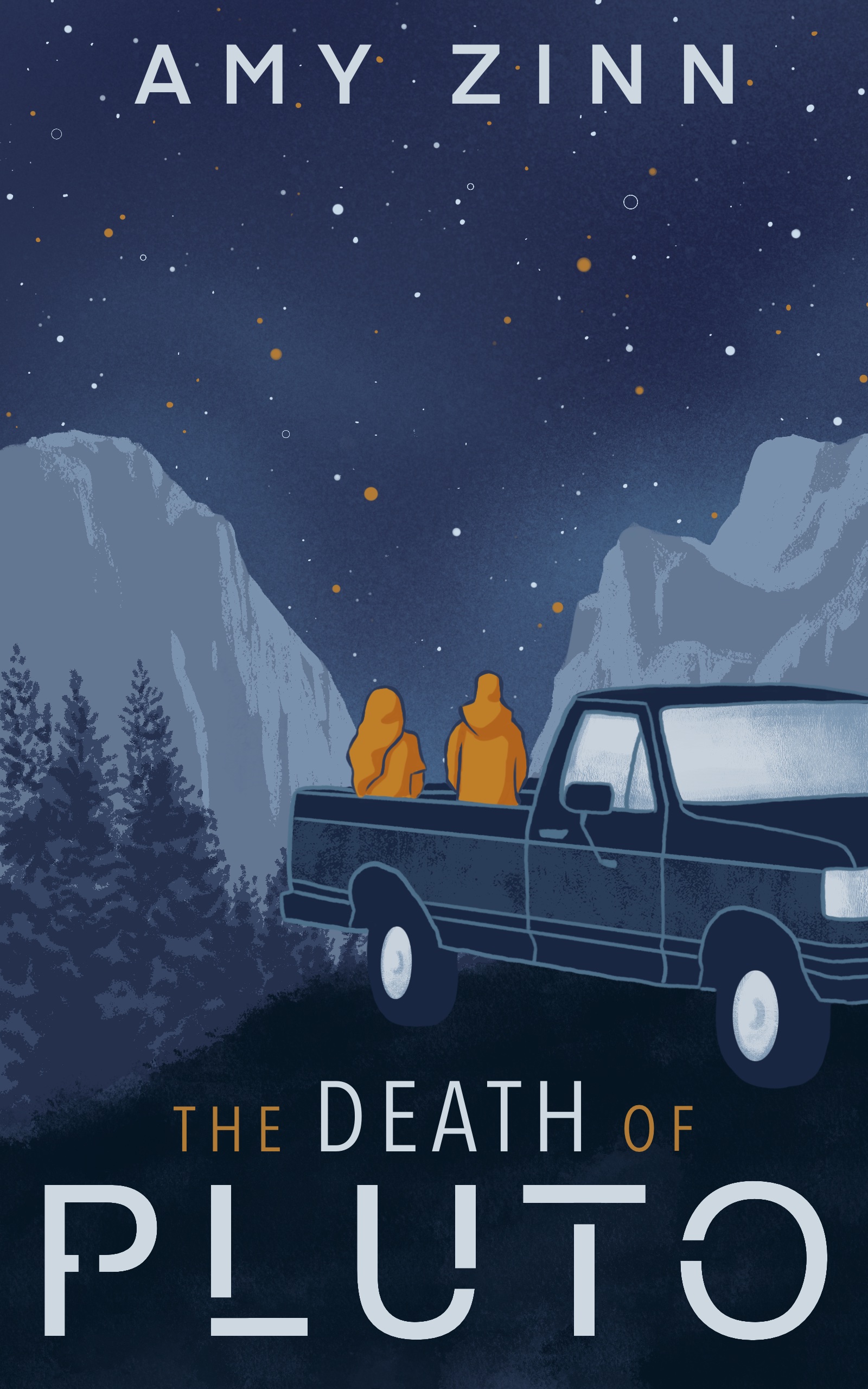 The Death of Pluto by Amy Zinn Goodreads