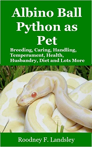 Albino Ball Pythons as Pet: Breeding, Caring, Handling, Temperament ...