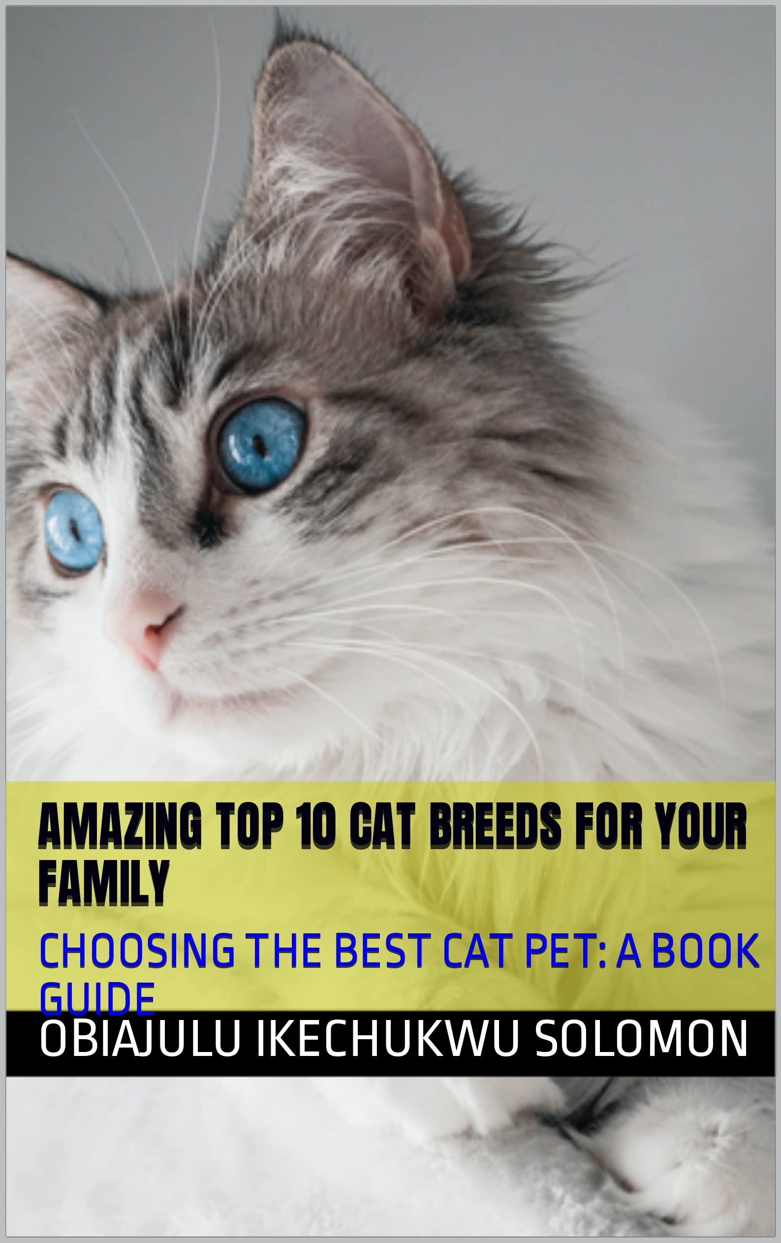 AMAZING TOP 10 CAT BREEDS FOR YOUR FAMILY CHOOSING THE BEST CAT PET A