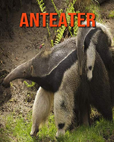 Anteater: Fun Learning Facts About Anteater by Trina Devlin | Goodreads