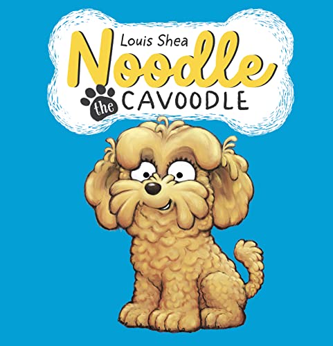 Noodle the Cavoodle