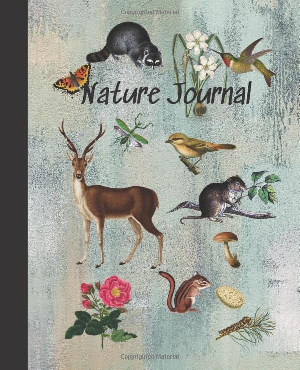 Nature Journal Writing and Drawing nature walks homeschool science by