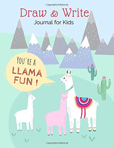 Draw and Write Journal for Kids: Primary Composition Notebook / Journal ...