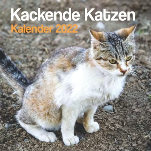 Kackende Katzen Kalender 2022: Lustiger Katzen Kalender 2022 f&uuml;r