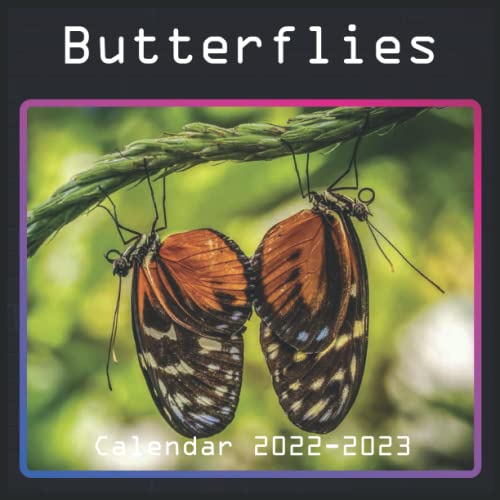 Butterflies Calendar 20222023 January 2022 June 2023 Monthly