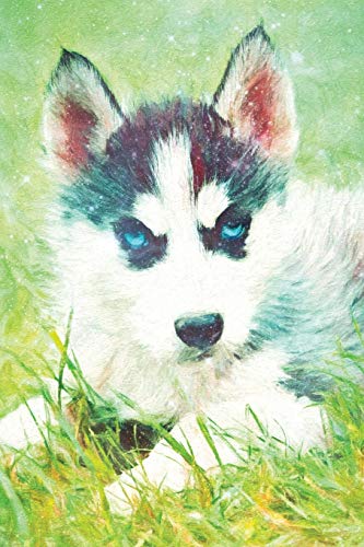 Notes: Siberian Husky Puppy - Blank College-Ruled Lined Notebook by ...
