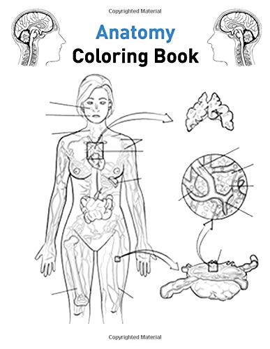 Anatomy Coloring Book: My First Human Anatomy Body Coloring Book