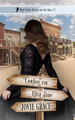 Mail-Order Brides on the Run book cover 3