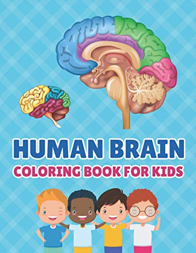 Human Brain Coloring Book For Kids: The Ultimate Human Brain self test ...