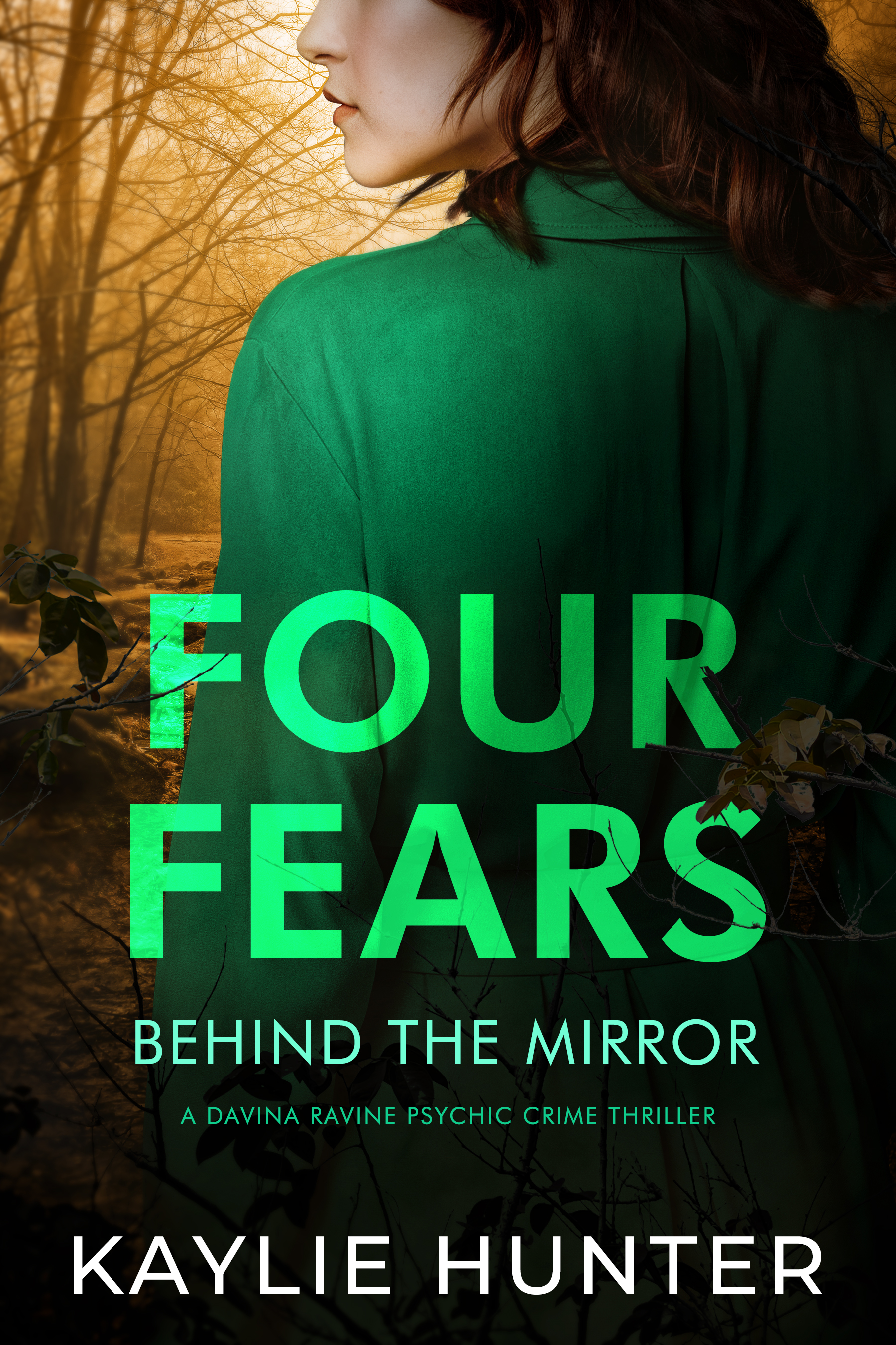 Four Fears Behind the Mirror