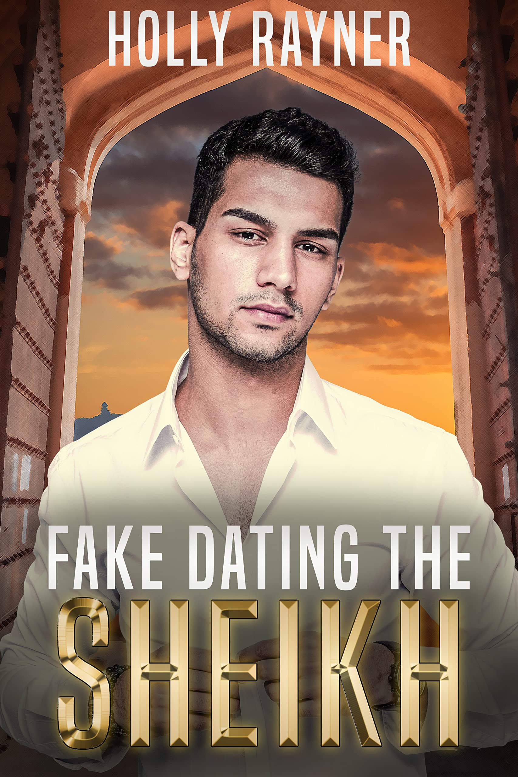 Fake Dating The Sheikh book cover
