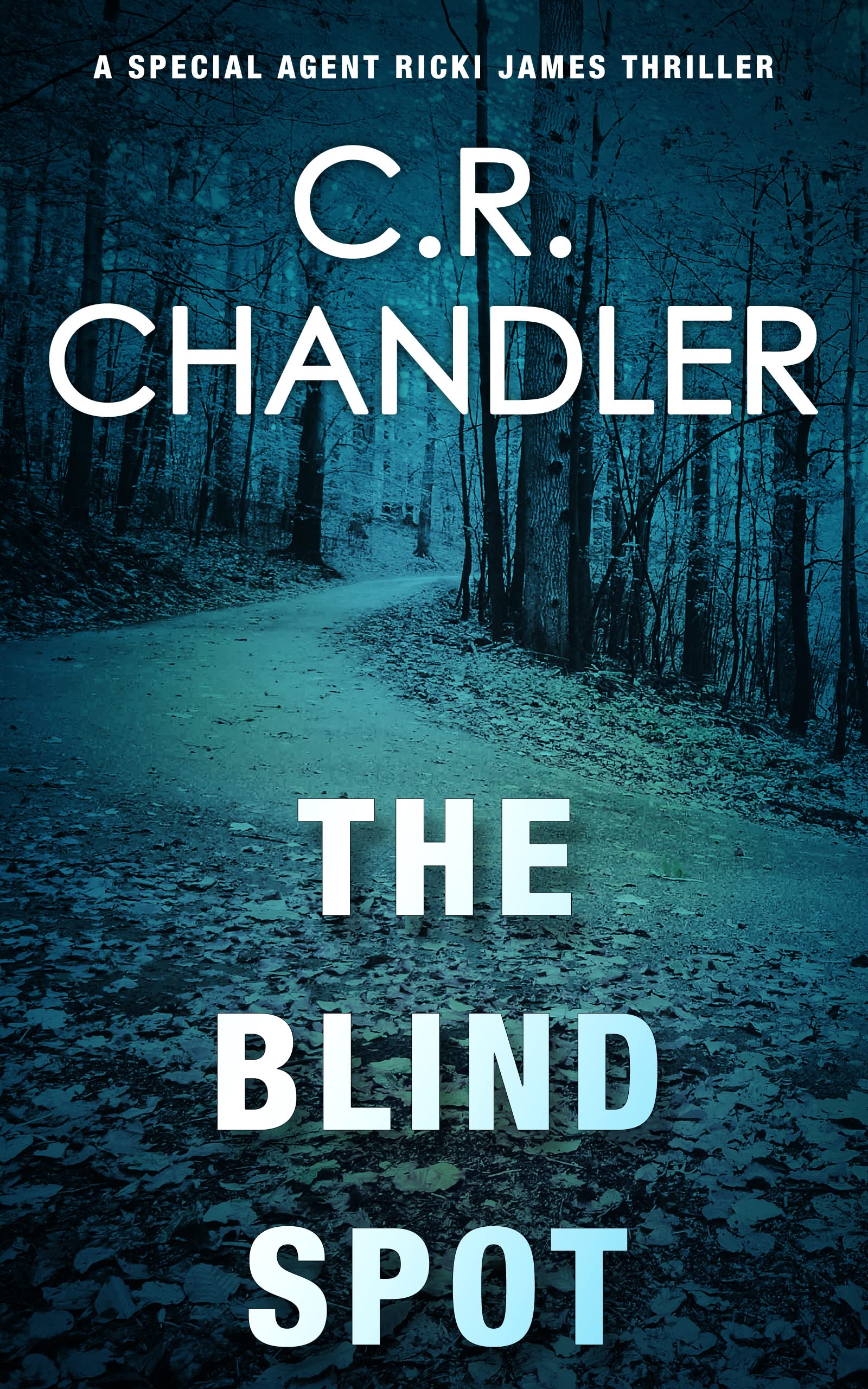 The Blind Spot