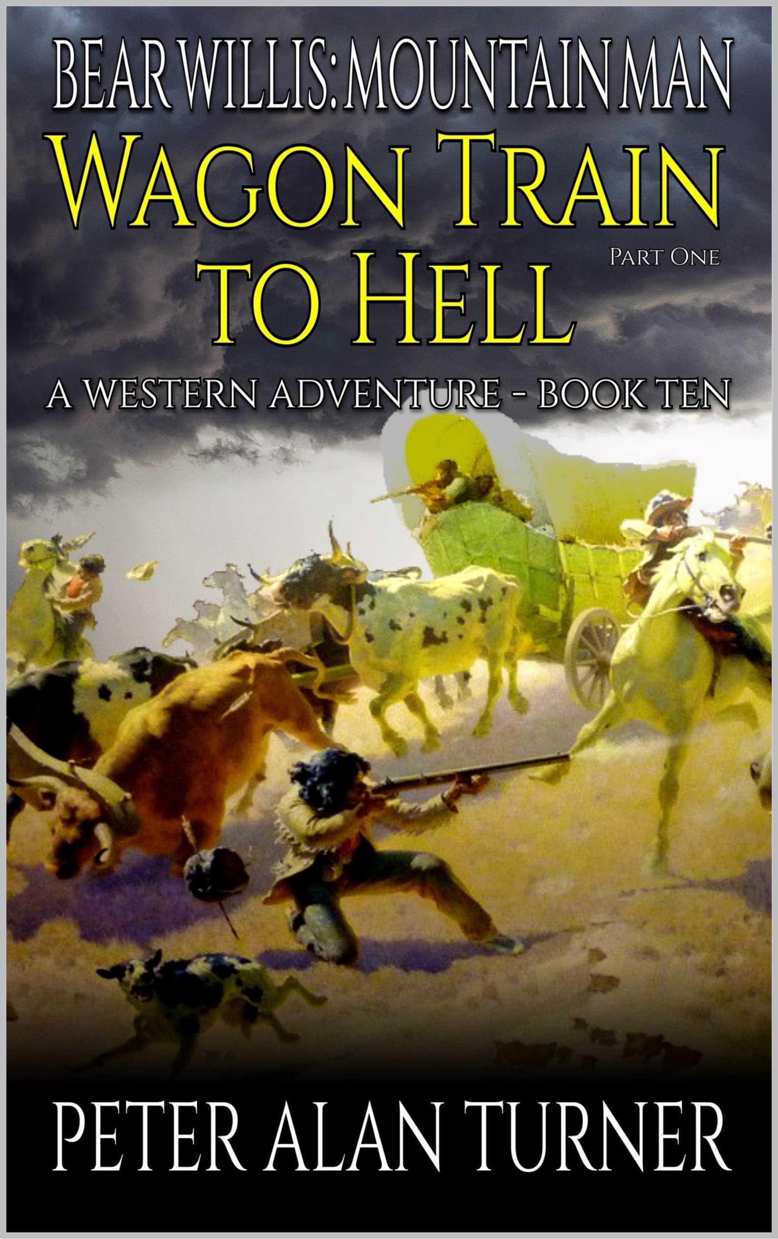 Bear Willis book cover