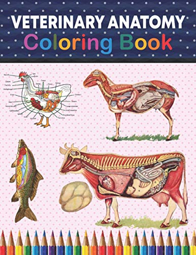 Veterinary Anatomy Coloring Book: Animals Anatomy Veterinary Physiology ...