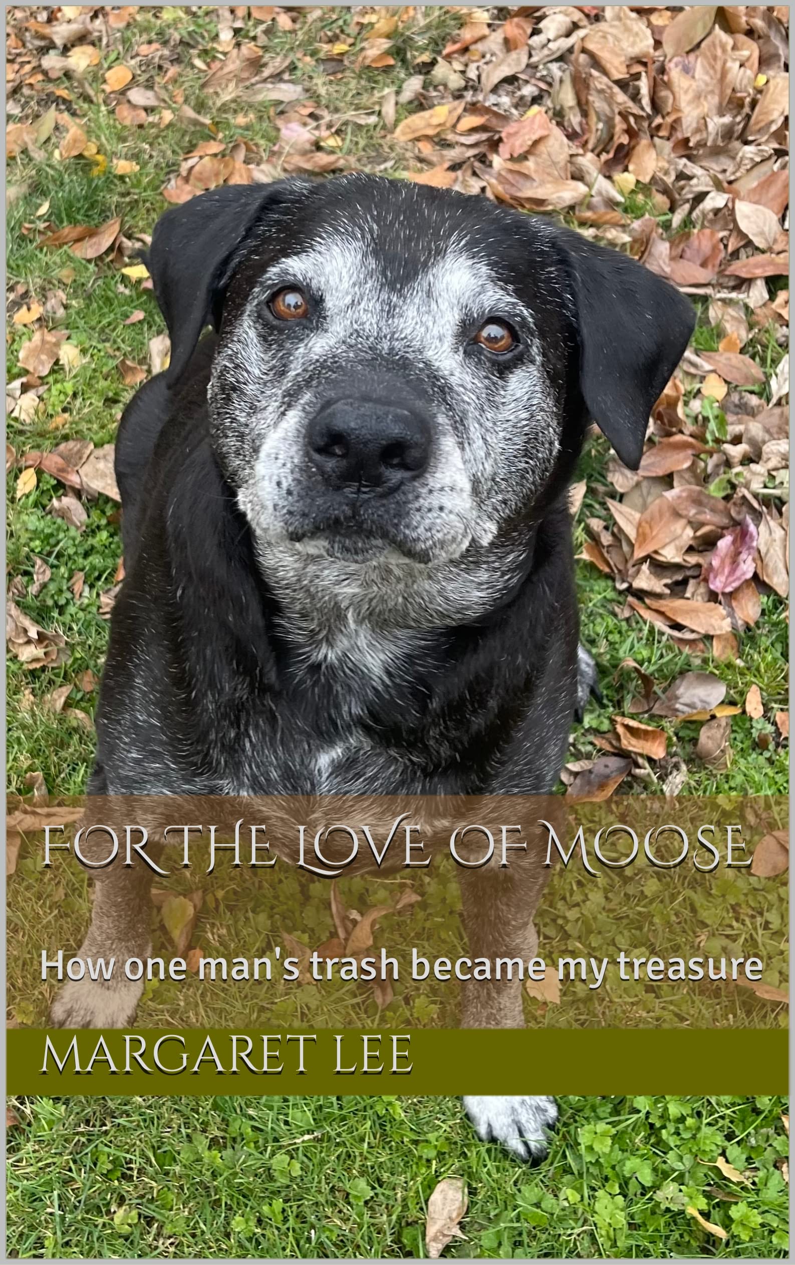 For the Love of Moose: How one man's trash became my treasure
