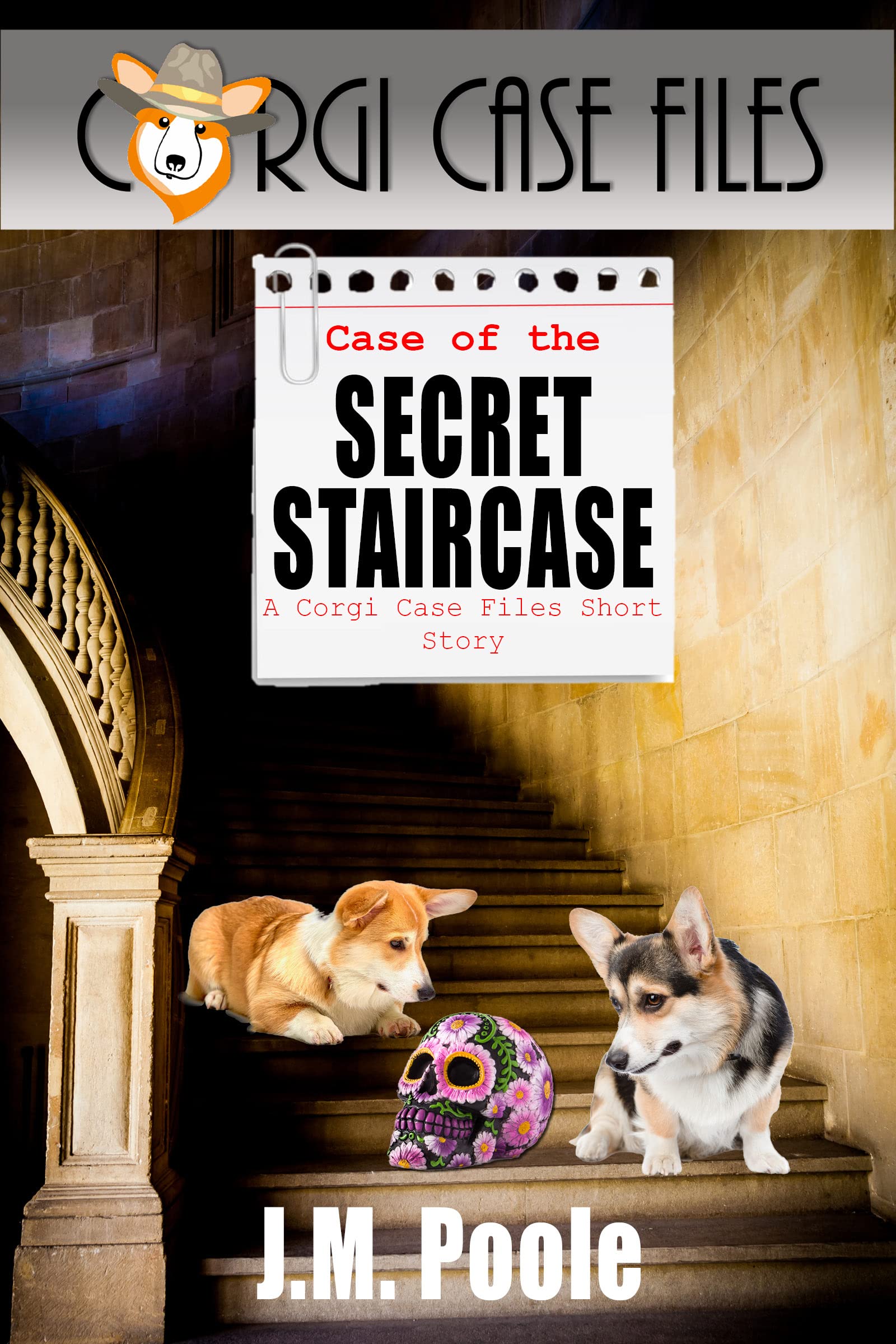 Case of the Secret Staircase