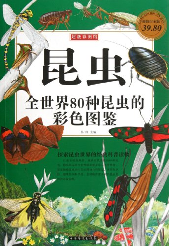 Insects-Illustrated Handbook of 80 Species of insects all over the ...