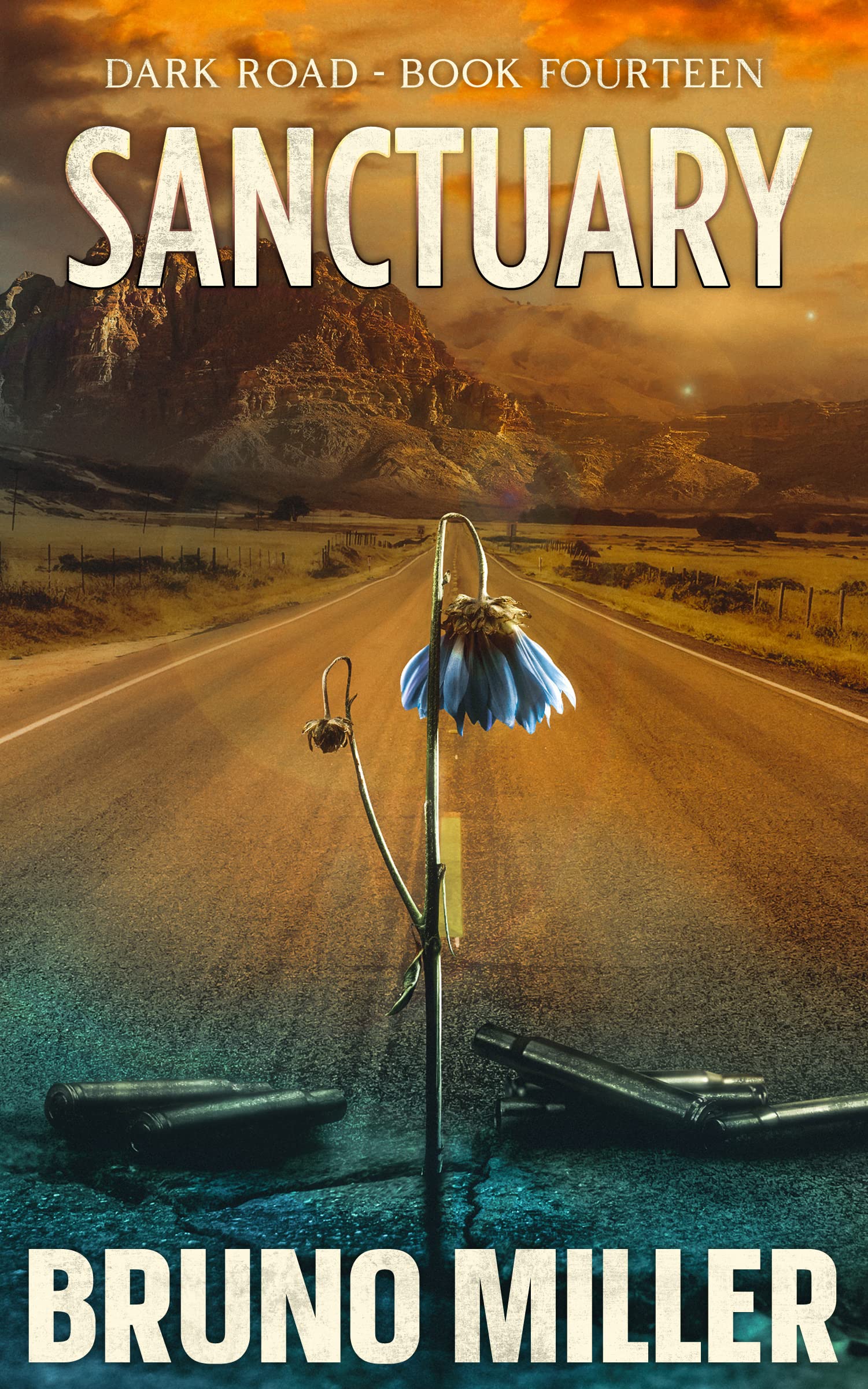 Sanctuary book cover