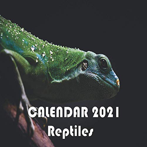 Calendar Reptiles 2021 mini wall Calendar Reptiles 20212022 by zt