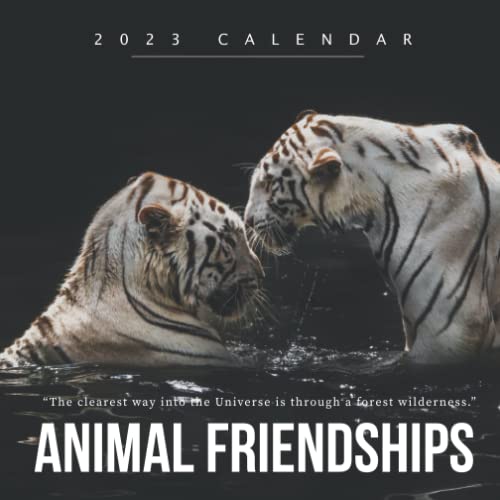 Animal Friendships Calendar Beautiful 2023 Calendar Gift for Family